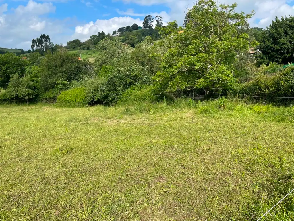 Terreny residencial en venda a Rural, imagen 9