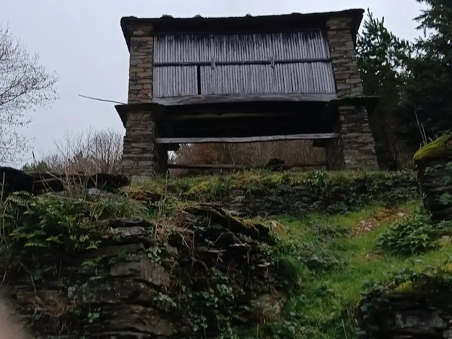 Vista exterior de Finca rústica en venda en A Pontenova   amb Jardí privat, Terrassa i Balcó