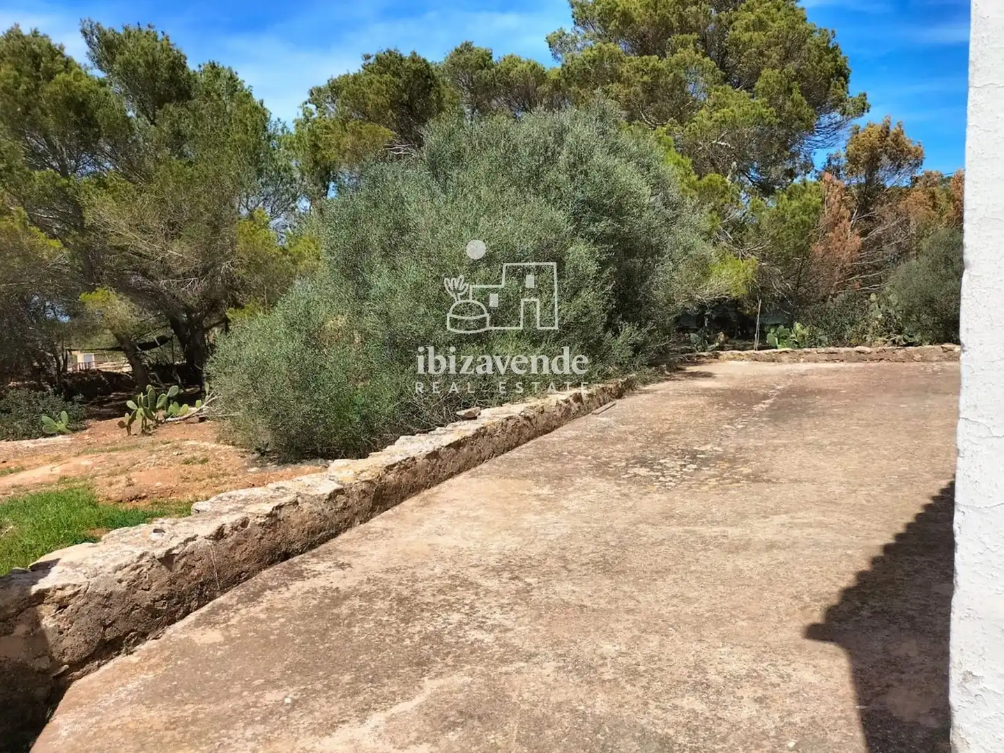 Casa in vendita a ca mari, imagen 6