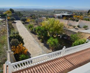 Jardí de Casa o xalet en venda en Pinos Puente amb Aire condicionat, Calefacció i Jardí privat