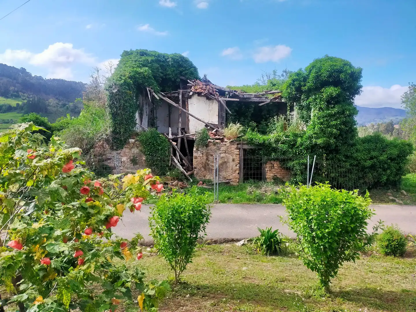 Terrenys i solars en venda a Candamo, imagen 19