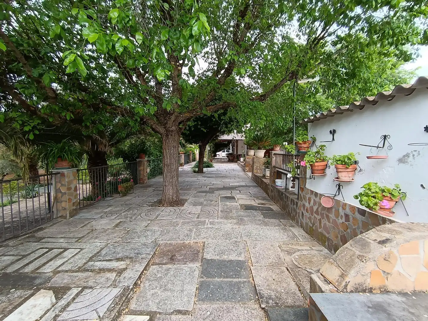 Vista exterior de Casa o chalet en venta en Brazatortas con Aire acondicionado, Calefacción y Jardín privado