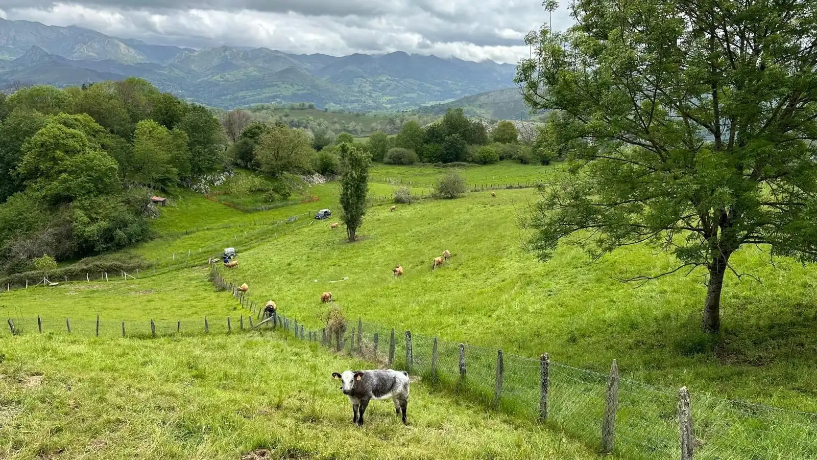 Grundstücke und Bauplätze zum Verkauf in Cangas de Onís, imagen 2
