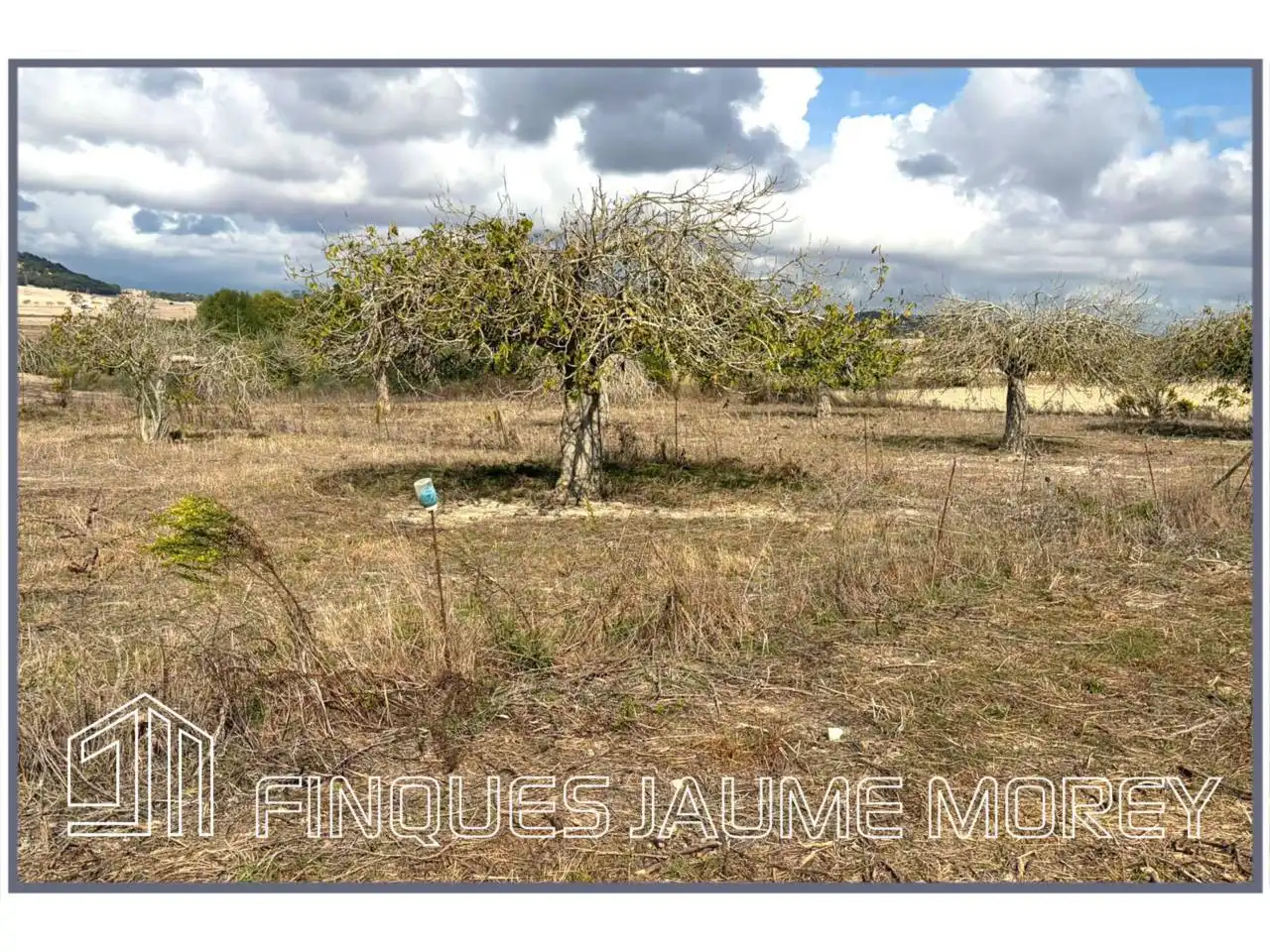 Finca rústica en venta en Maria de la Salut con Jardín privado