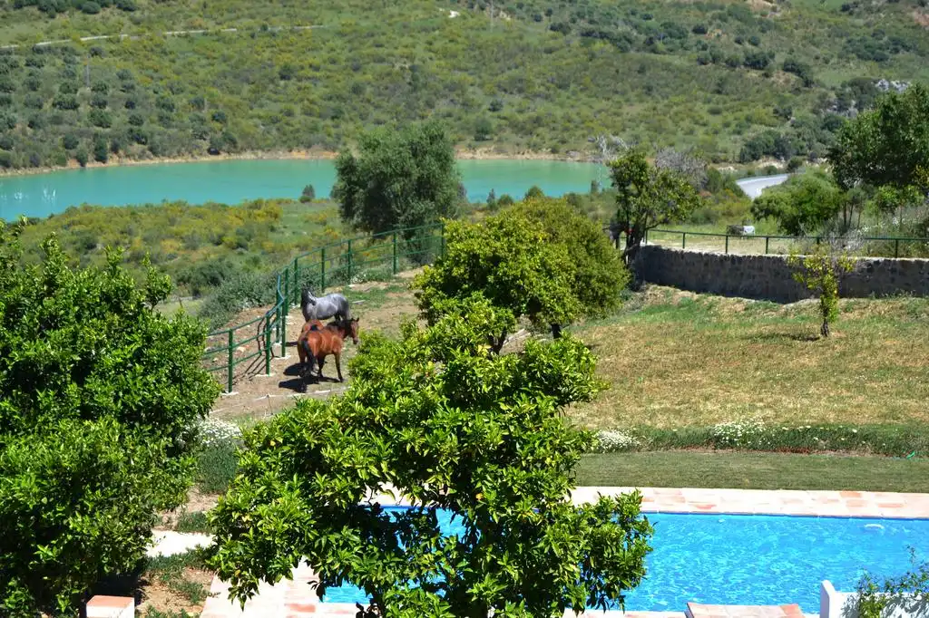 Piscina de Casa o chalet en venta en Grazalema con Aire acondicionado, Calefacción y Jardín privado