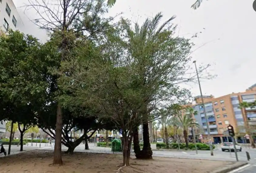 Außenansicht von Wohnung zur Miete in Alicante / Alacant mit Klimaanlage und Balkon