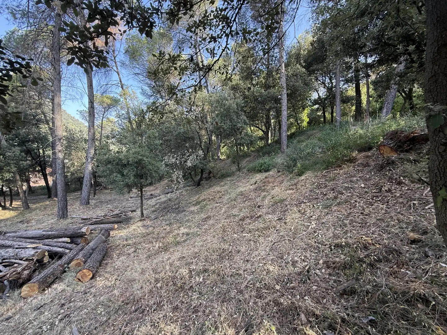 Terreno residencial en venta en d'Aiguafreda de Dalt 5, imagen 28