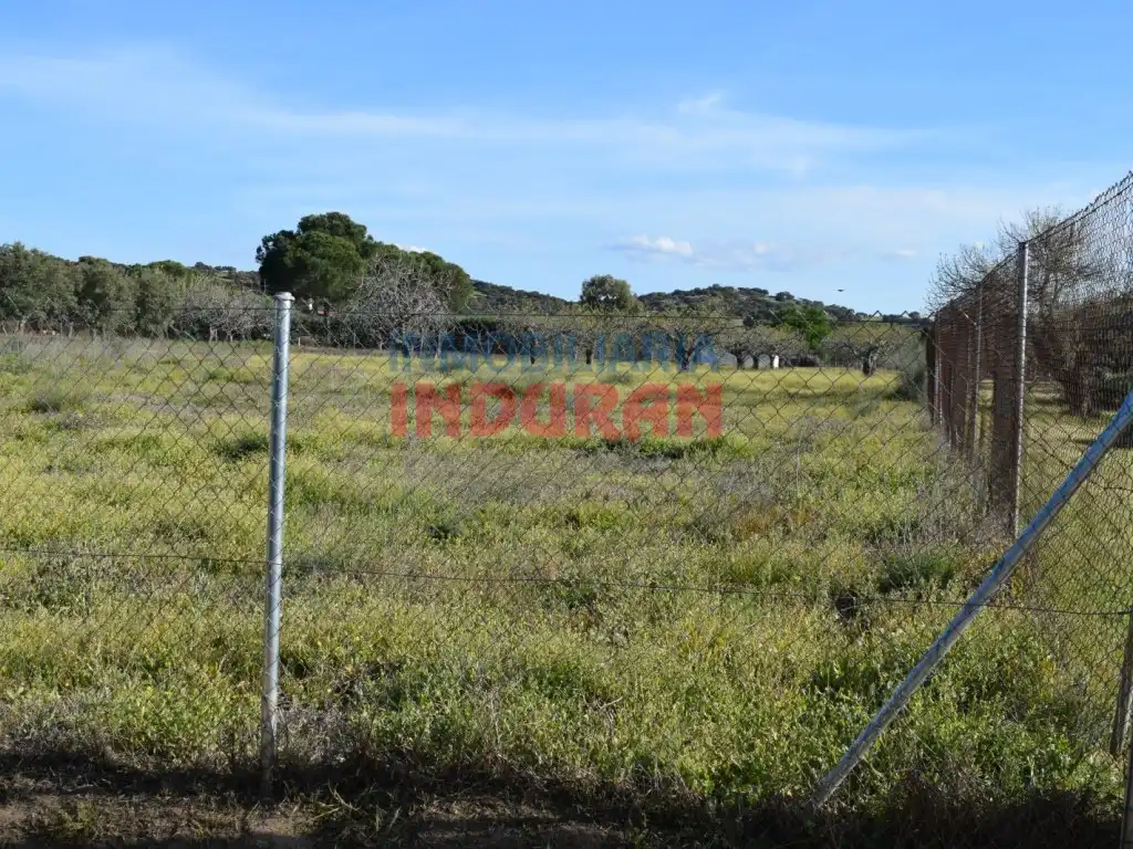 Terreni e lotti in vendita a Saucedilla, imagen 9