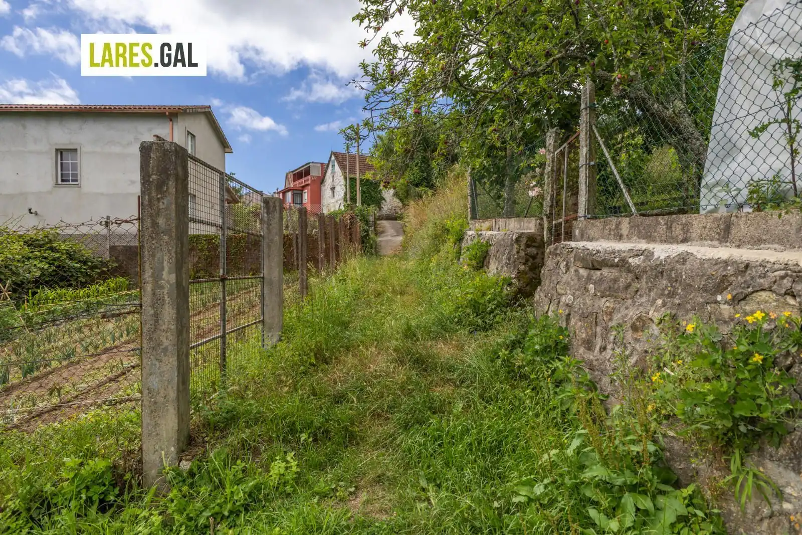 Terrain rustique à vendre à Lugar de Pozonegro, imagen 15