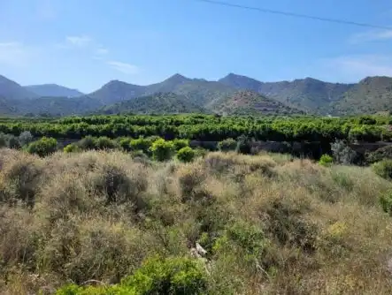 Rustikales Grundstück zum Verkauf in Partida de La Murta, imagen 6