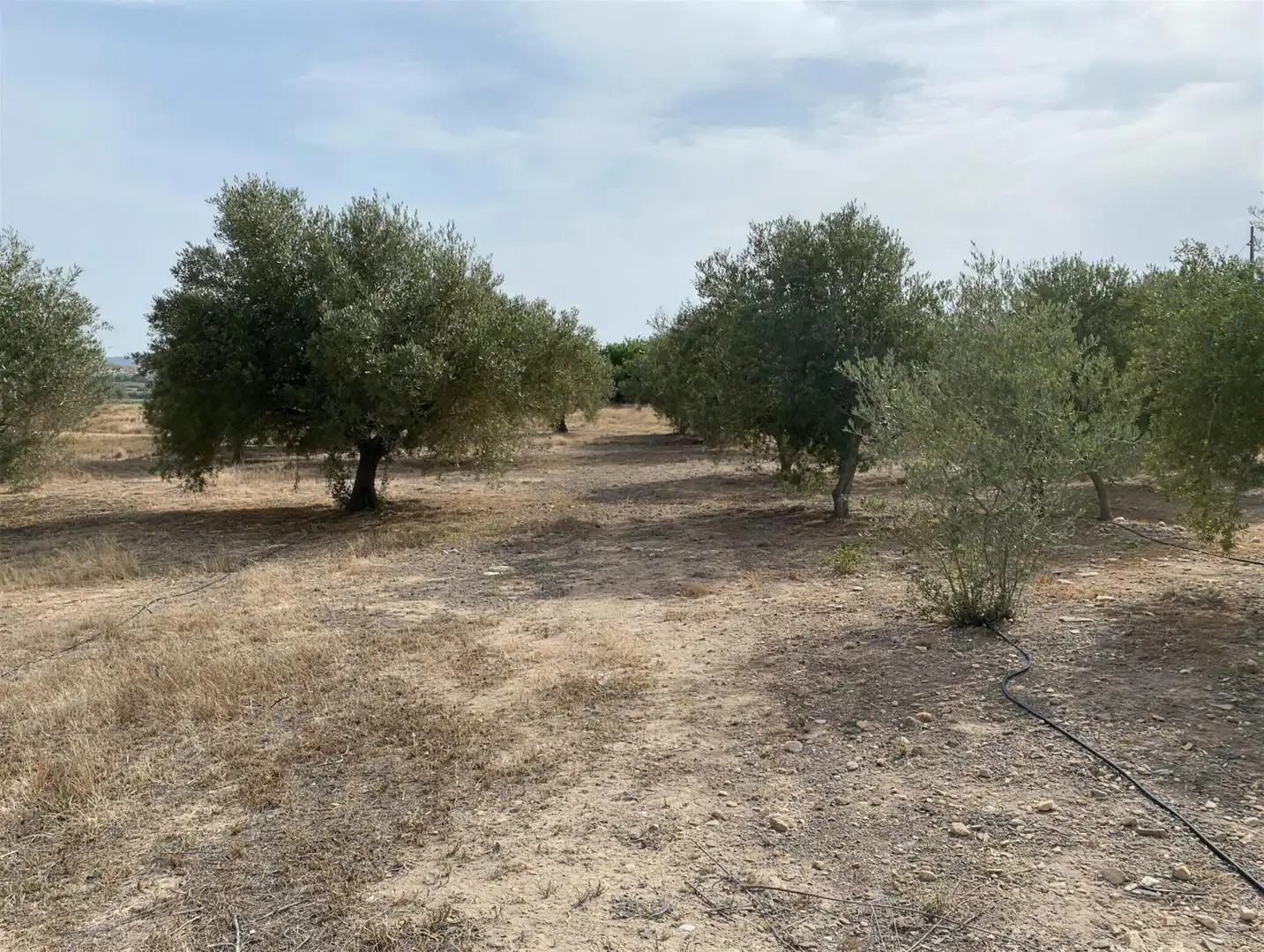 Villa à vendre à Partida Campet, imagen 30