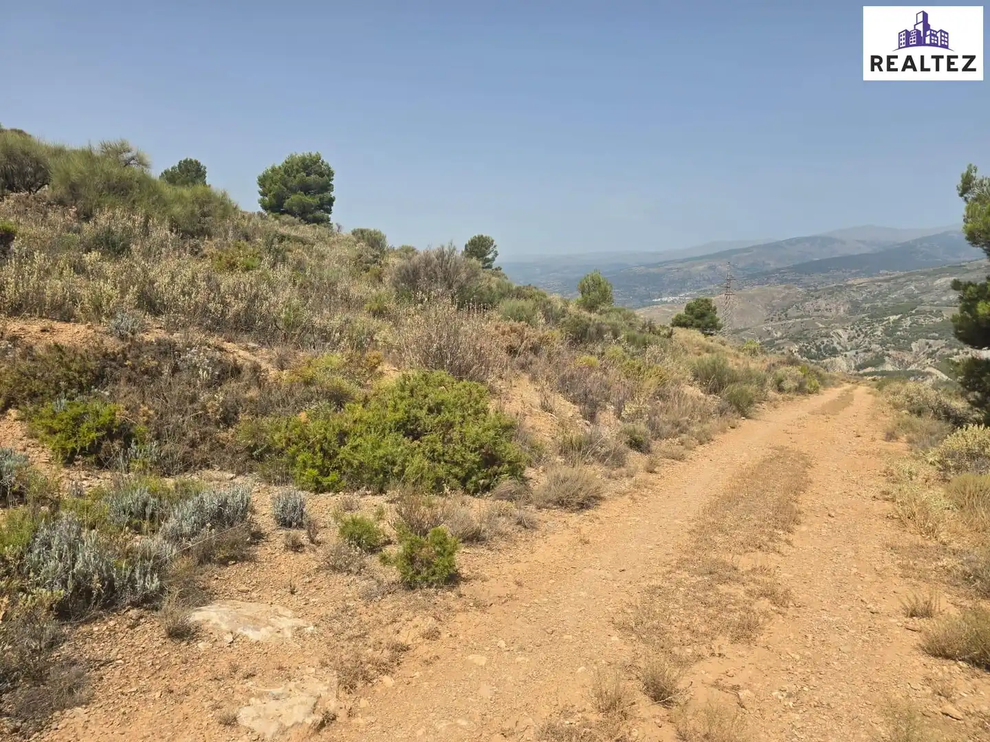 Terrain rustique à vendre à Alcolea, imagen 4