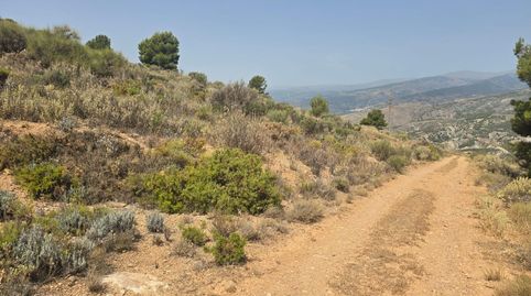 Finca rústica en venta en Alcolea vistas panorámicas en plena Alpujarra Almeriense, immagine 4