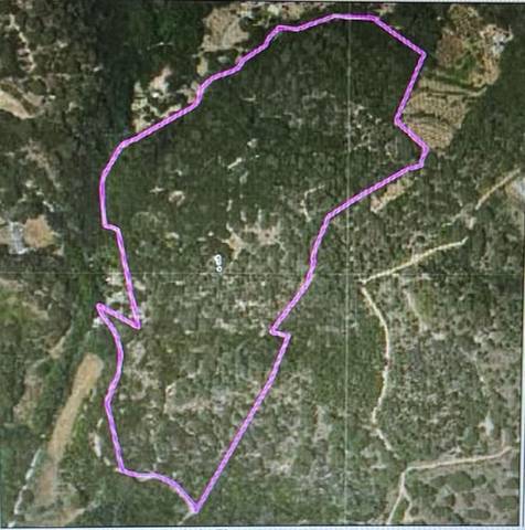 Terreno en Venta en Arenys de Munt