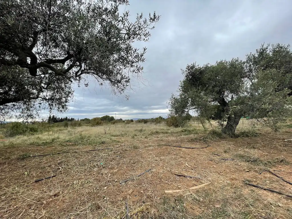Residencial en venta en 31, Parcela 25, Cambrils Port