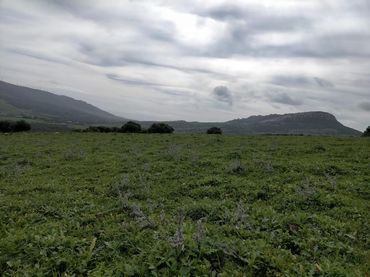 Terrenys i solars en venda a Ubrique