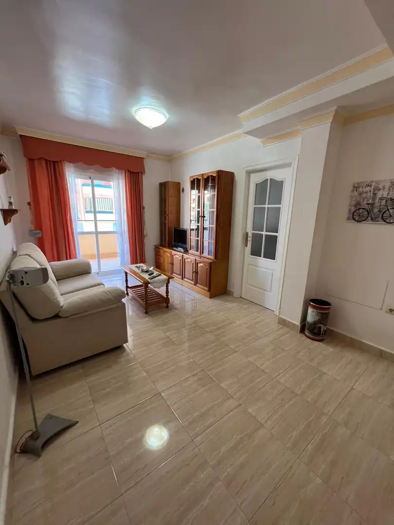 Sala d'estar de Pis en venda en Manilva amb Terrassa