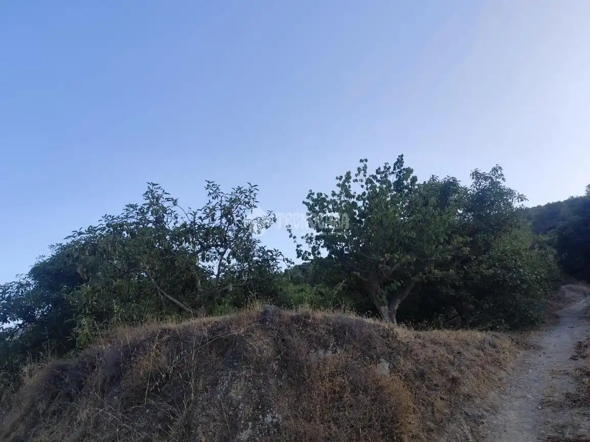 Terreno rustico in vendita a Los Guájares, imagen 7