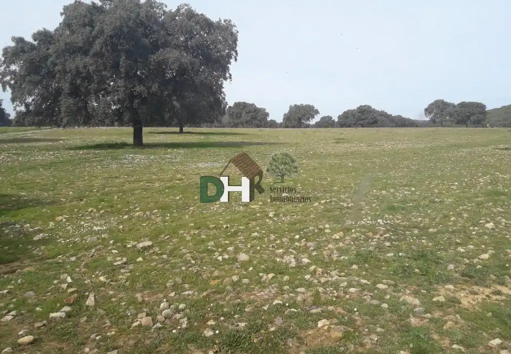 Terrenys i solars en venda a Santa María  - Pío XII, imagen 7