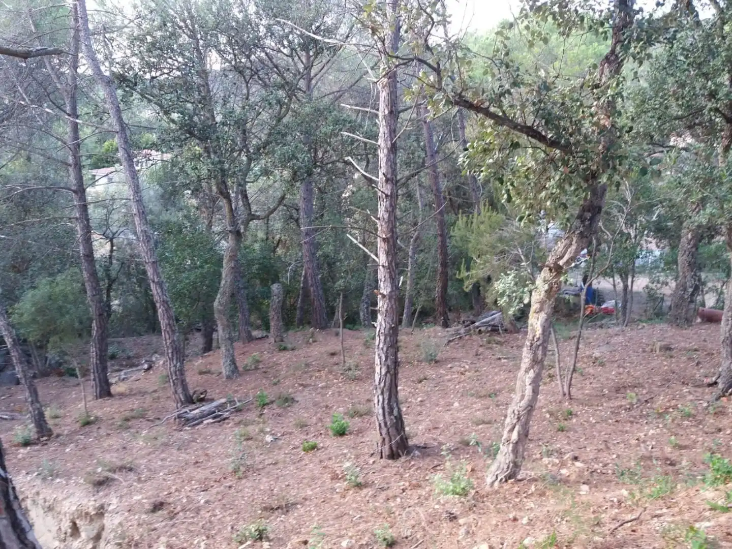 Terreno residencial en venta en Avinguda del Bell-lloc, imagen 14
