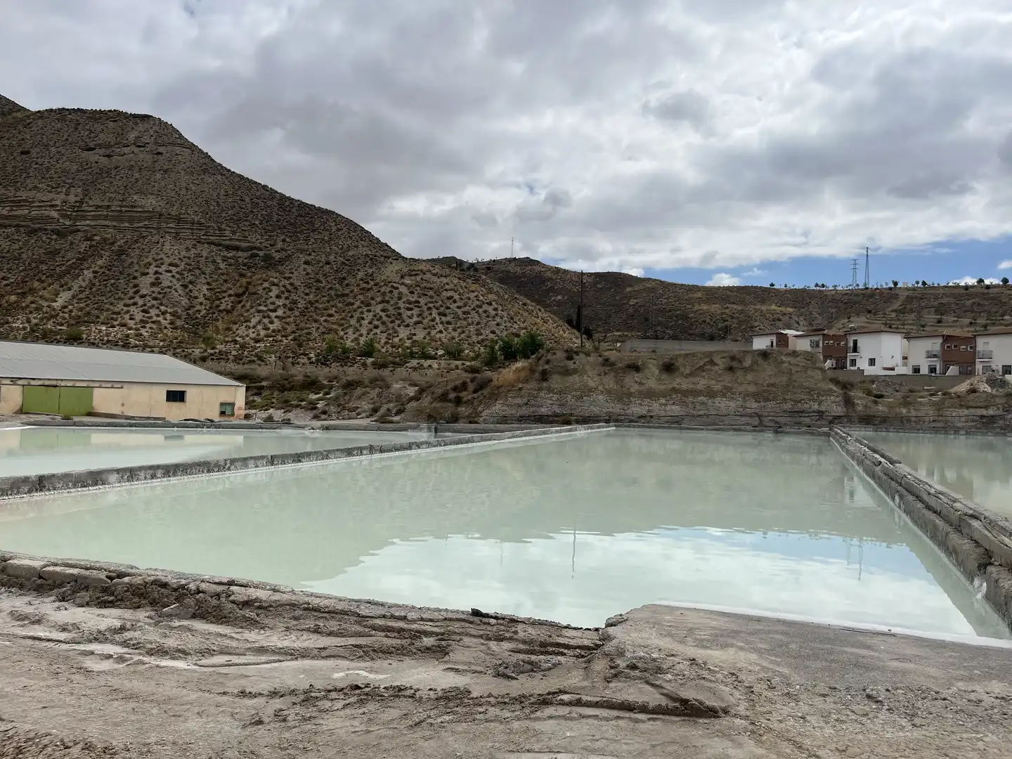 Swimming pool of Industrial land for sale in La Malahá