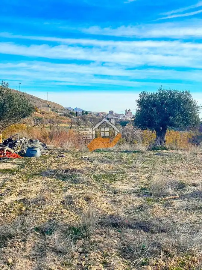 Terrenos y solares en venta en Vélez-Rubio, imagen 7