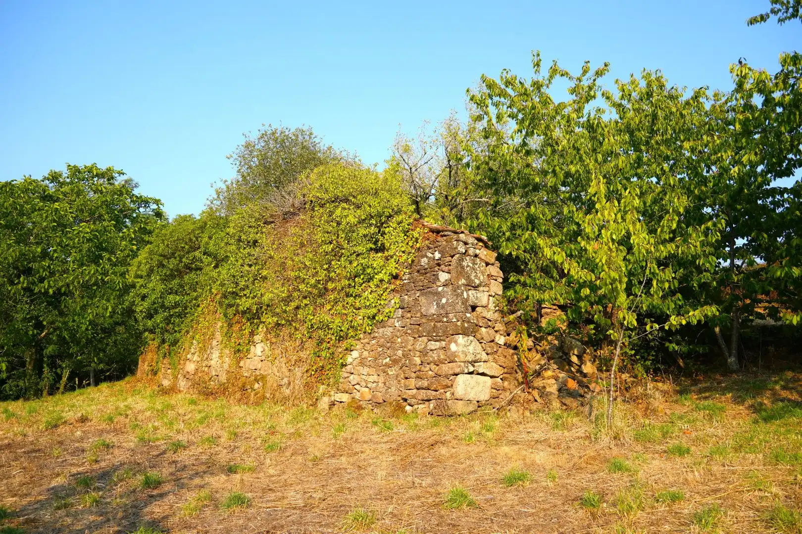 Lands and plots for sale in Lugar Estrada 521, imagen 14