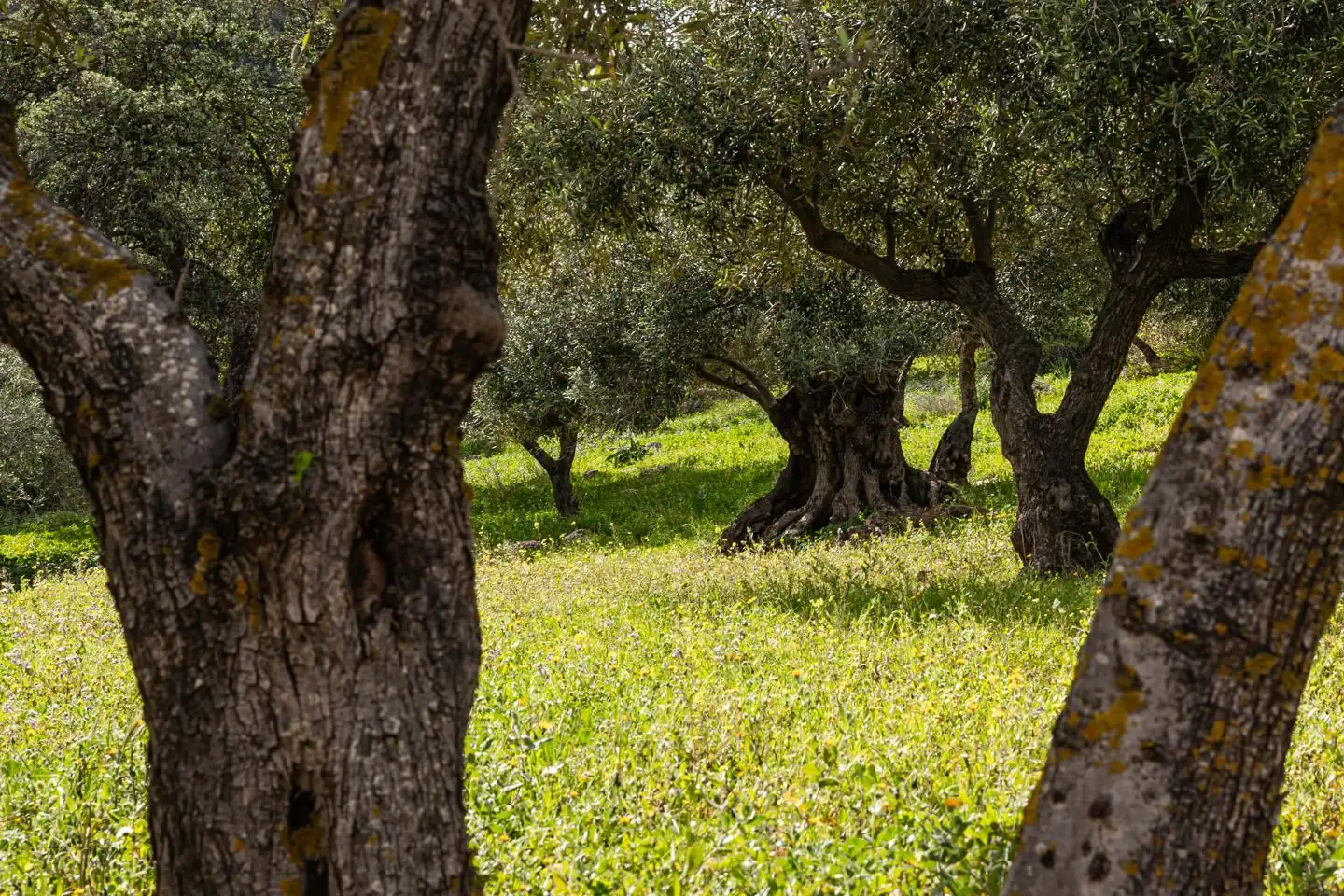 Terreni e lotti in vendita a Poligono 9, imagen 29
