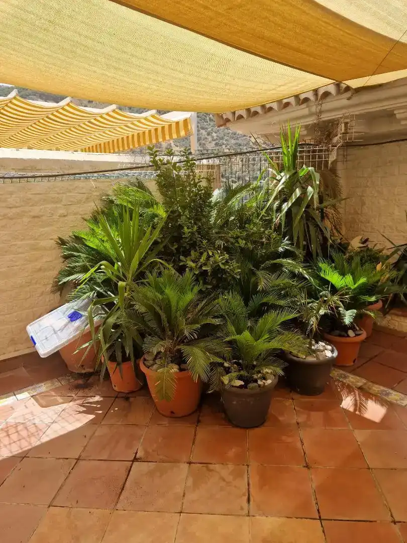 Jardí de Àtic en venda en Cenes de la Vega amb Aire condicionat i Balcó