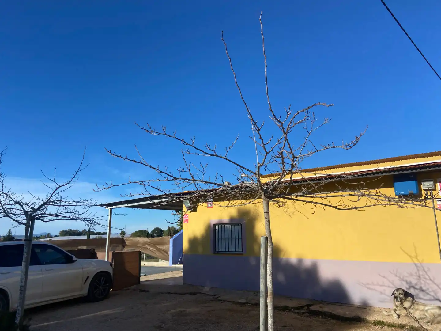 Vista exterior de Finca rústica en venda en Torre-Pacheco amb Terrassa, Piscina i Moblat