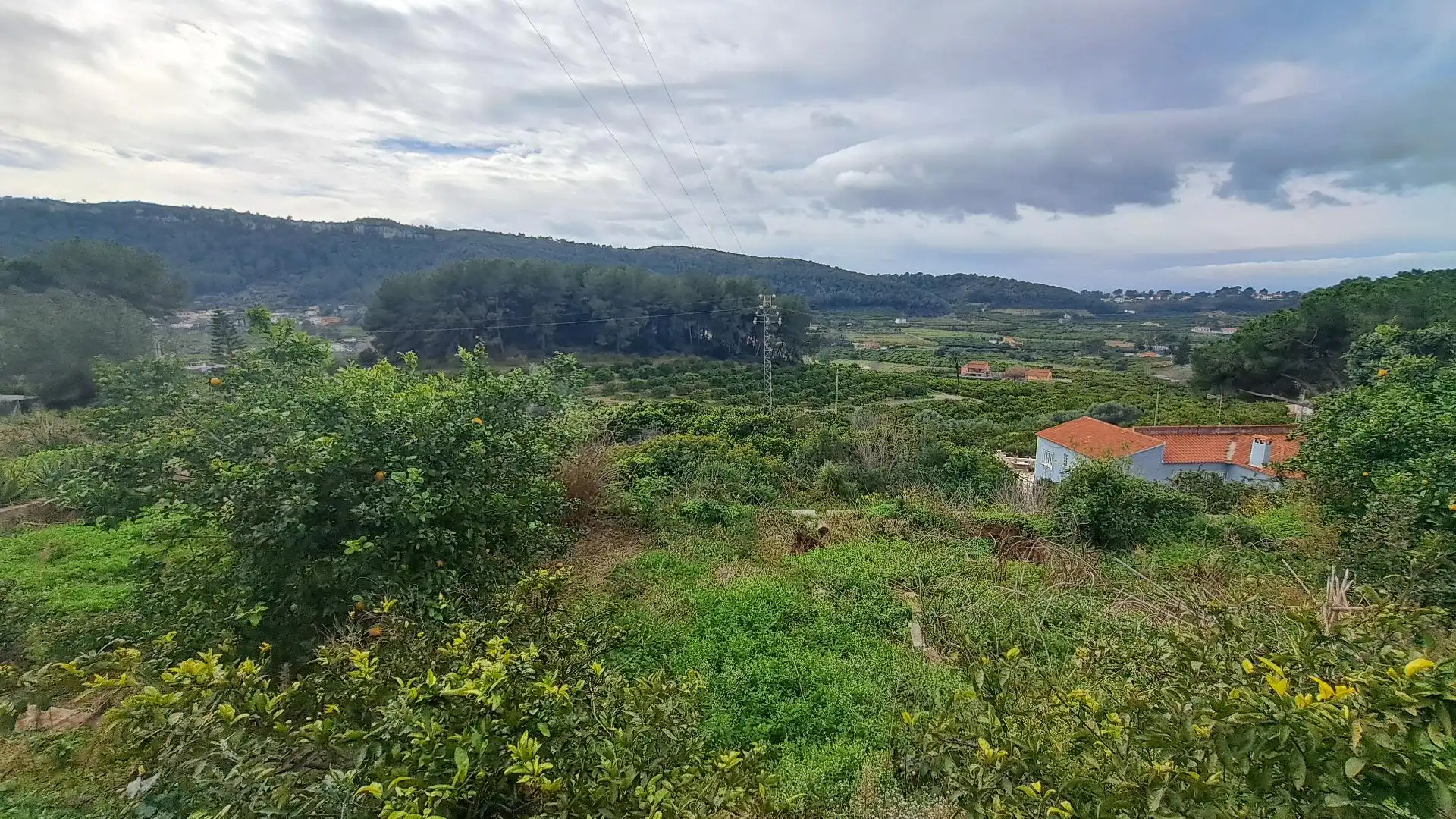 Houses for sale in Alzira  with Terrace, Storage room and Swimming Pool