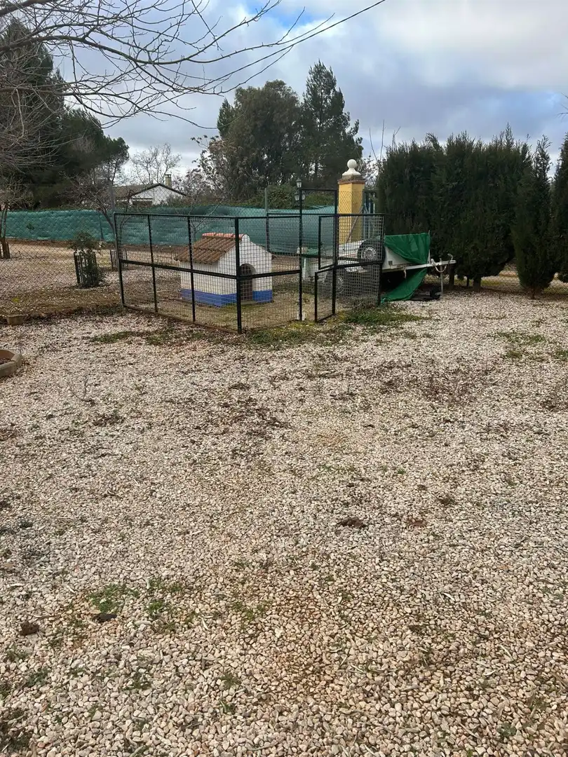 Country homes for sale in Villanueva de los Infantes (Ciudad Real)