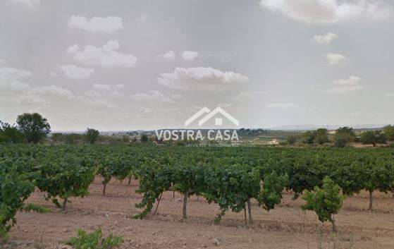Terreno en Venta en veintisiete, -1 en Los Felipes - Corral de Carmelo