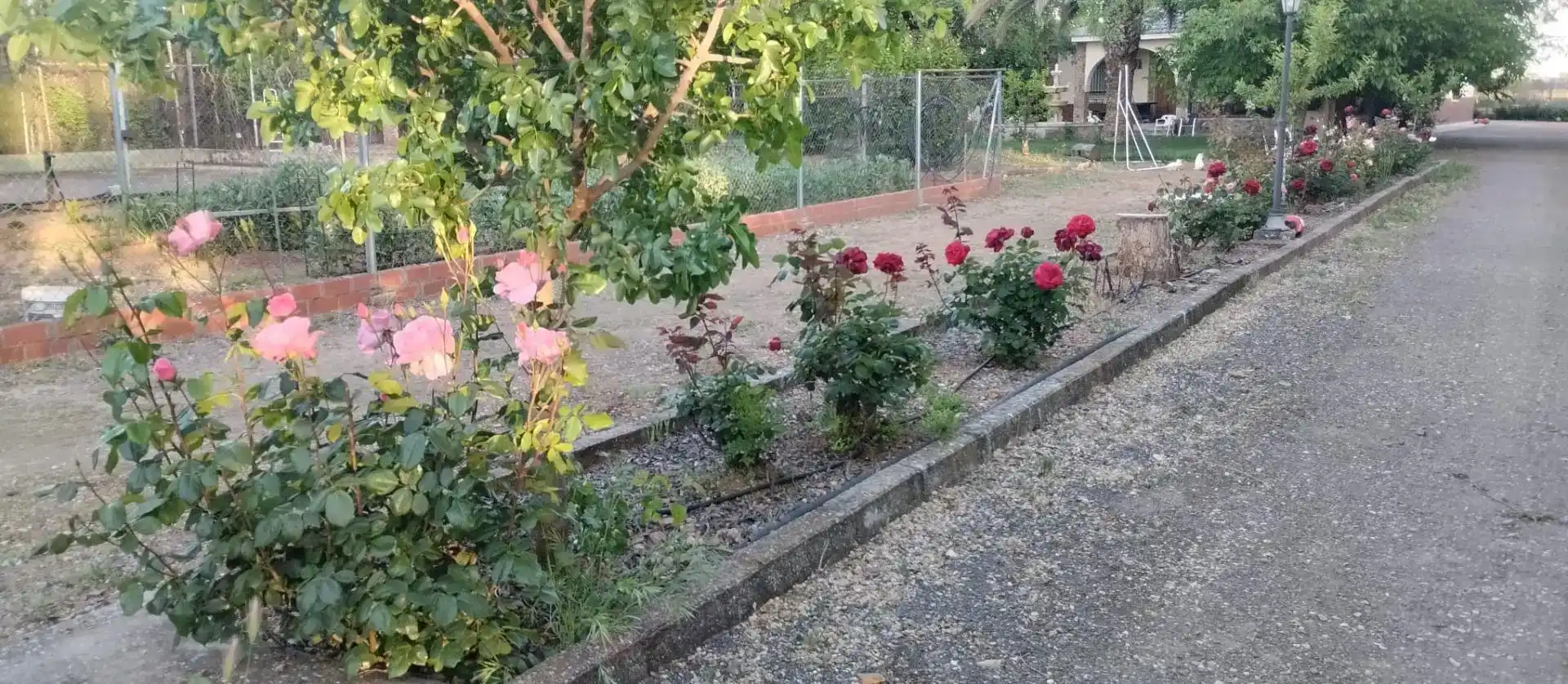 Jardí de Casa o xalet en venda en Ciudad Real Capital amb Aire condicionat, Piscina i Balcó