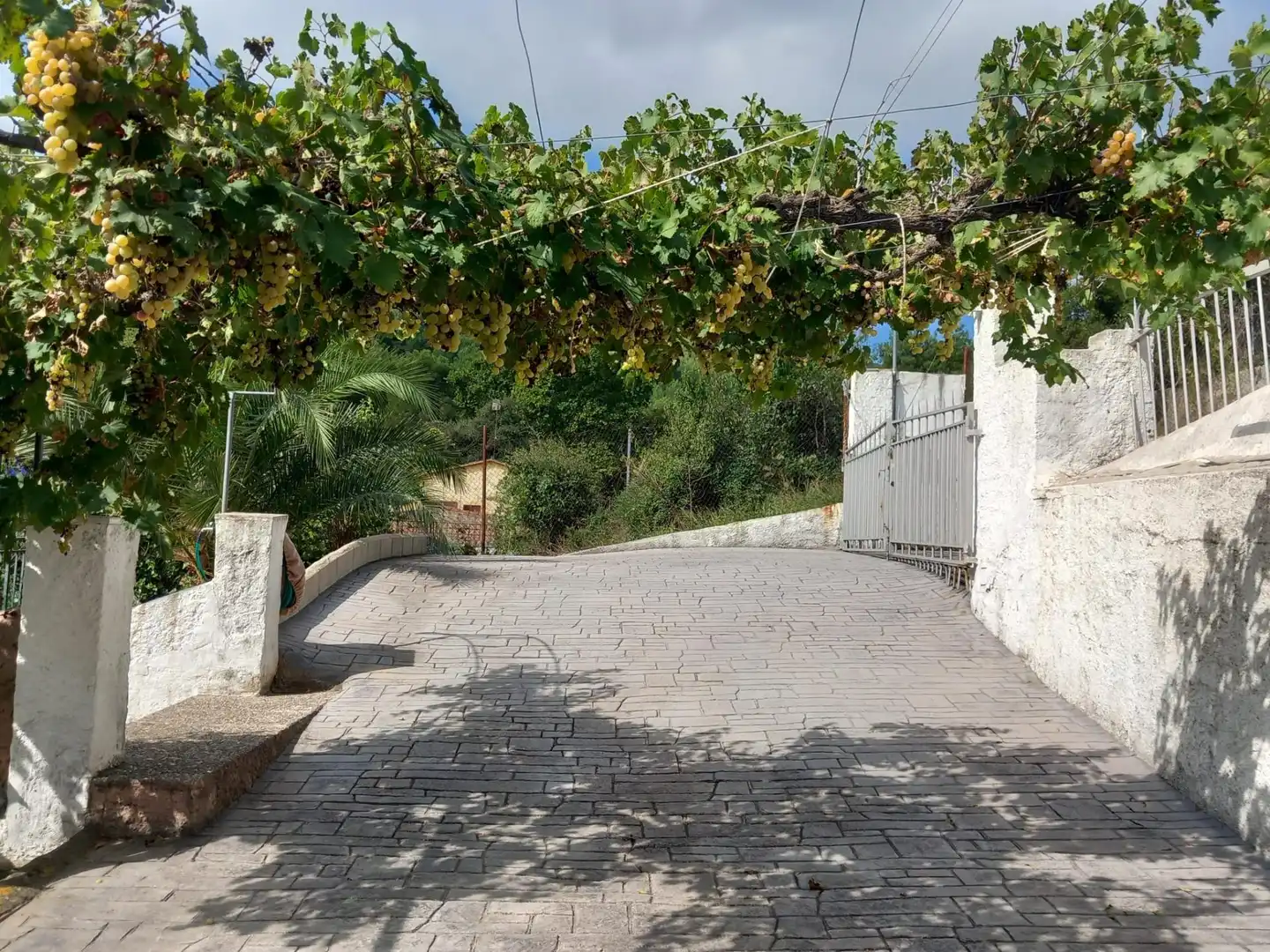 House with pool for sale in Torrelles de Foix, imagen 29
