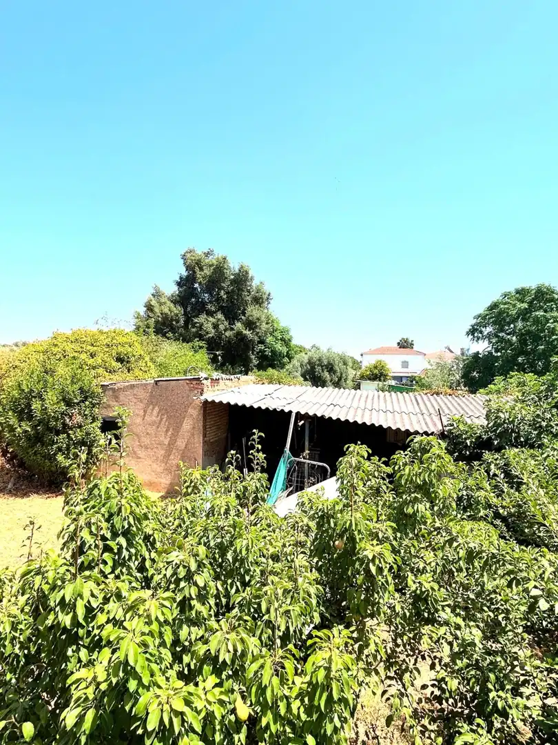 Villa mit Pool zum Verkauf in Castilblanco de los Arroyos, imagen 17