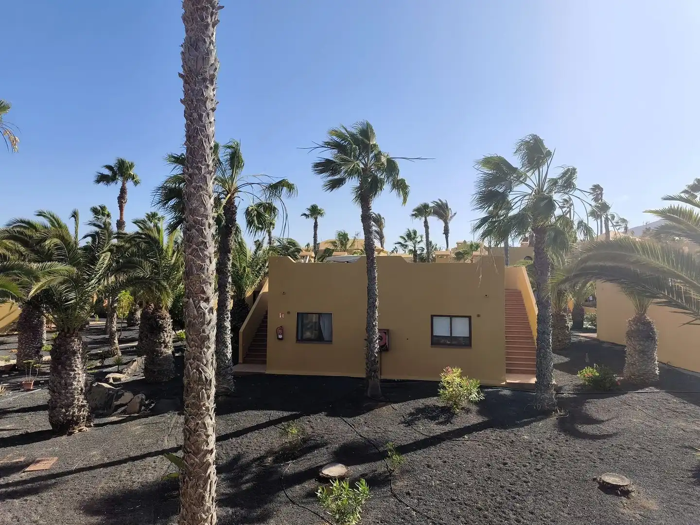 Vista exterior de Apartamento en venta en La Oliva con Jardín privado, Terraza y Piscina comunitaria