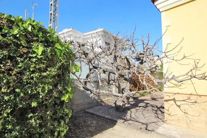 Detached house with garden for sale in Elche ciudad, imagen 11