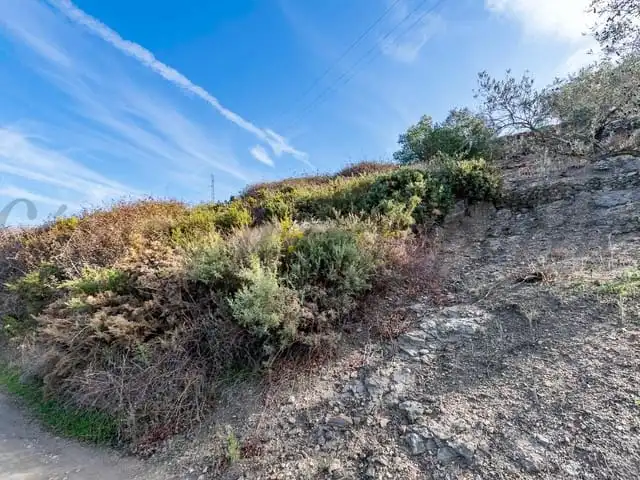 Terreni e lotti in vendita a Torrox Pueblo, imagen 3