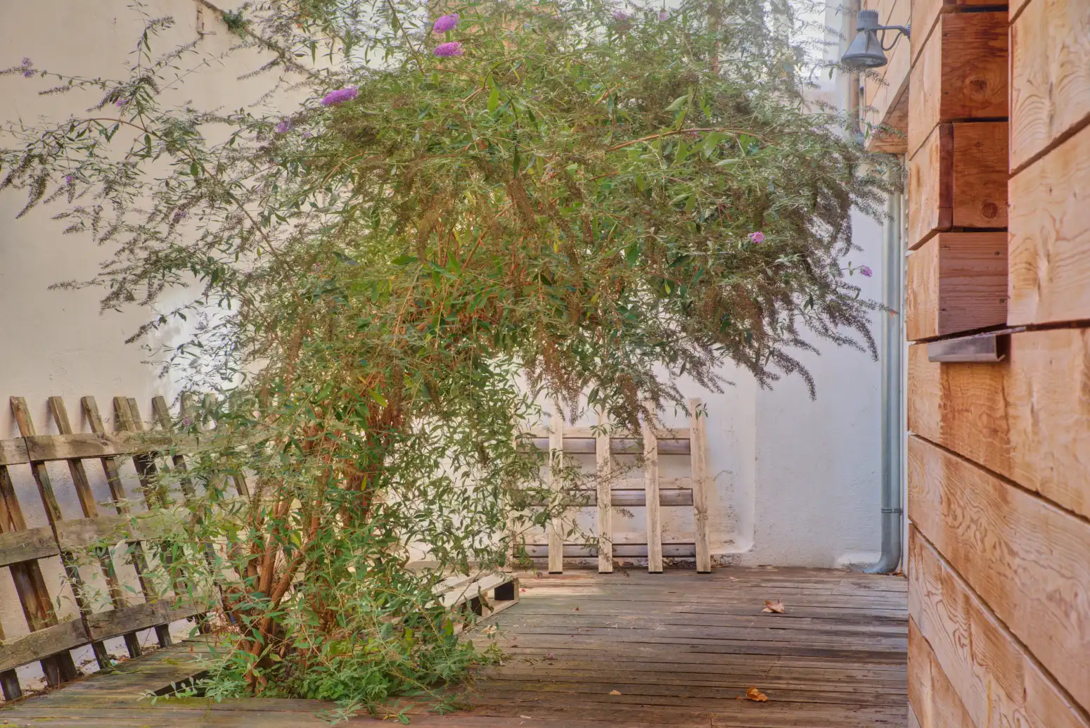 Jardín de Edificio en venta en Cendea de Olza / Oltza Zendea