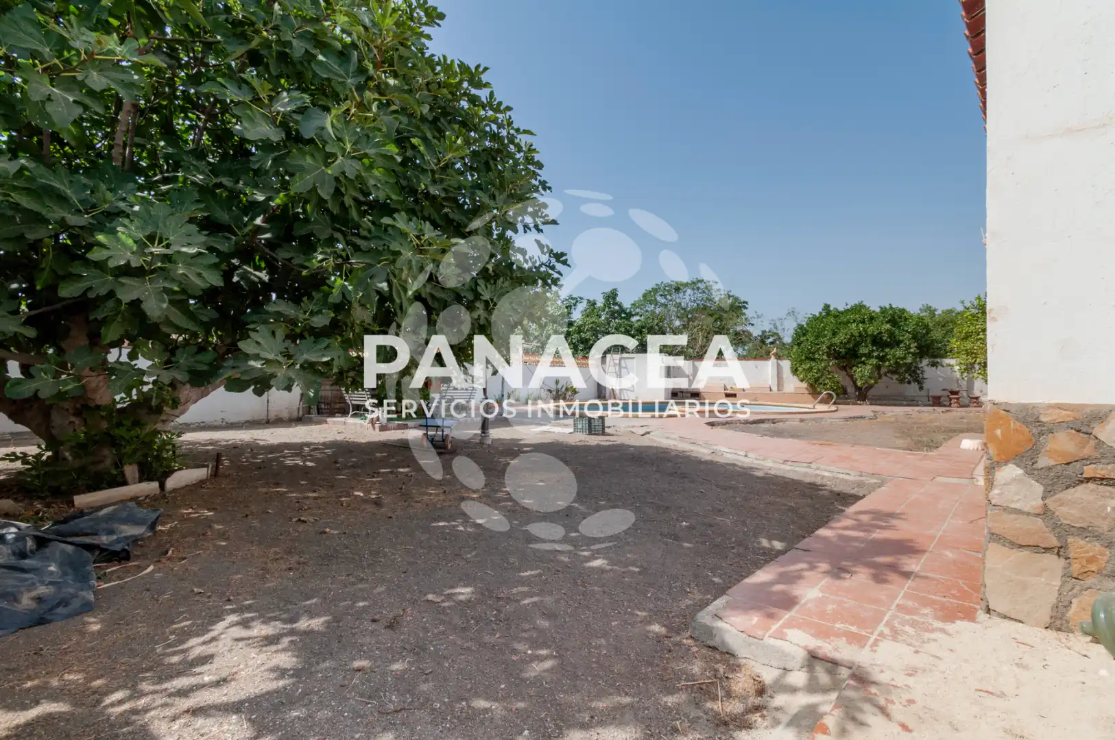 Casa o xalet en venda en Pechina amb Jardí privat, Piscina i Moblat