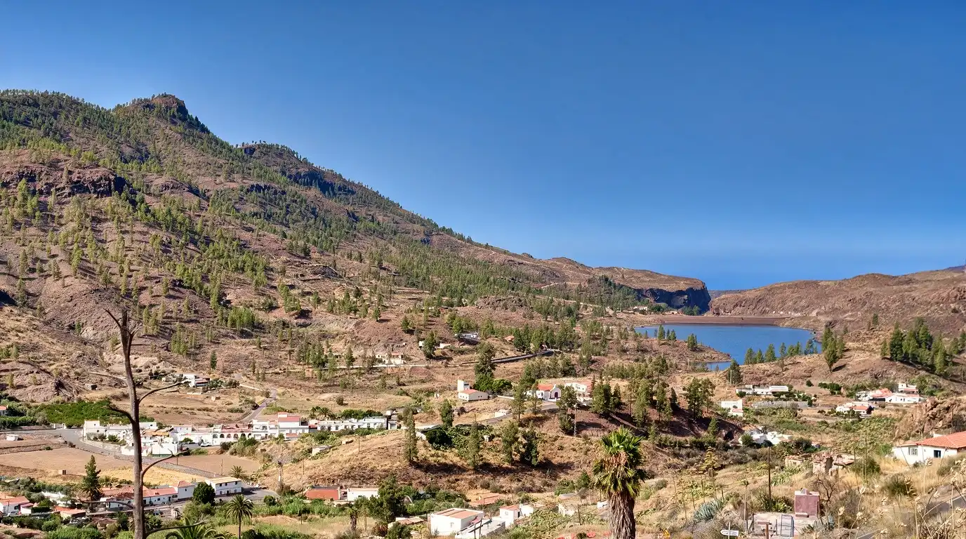 Vista exterior de Finca rústica en venda en San Bartolomé de Tirajana amb Jardí privat