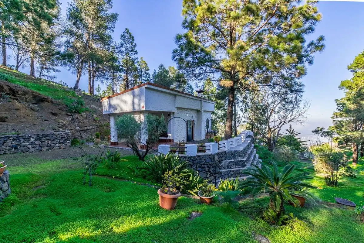 Jardín de Casa o chalet en venta en Telde con Jardín privado