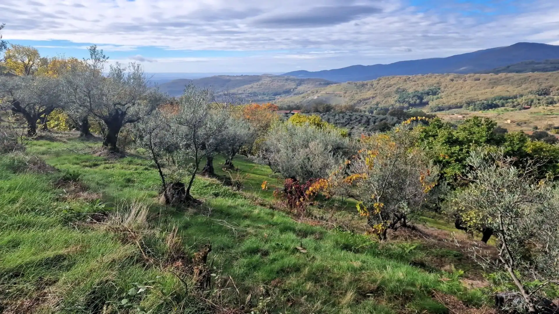 Terreno en venta en Guijo de Santa Bárbara