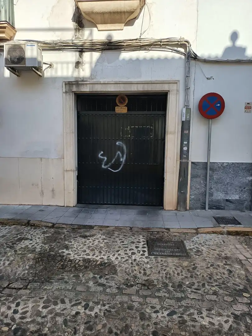 Individual for sale in Centro, imagen 9
