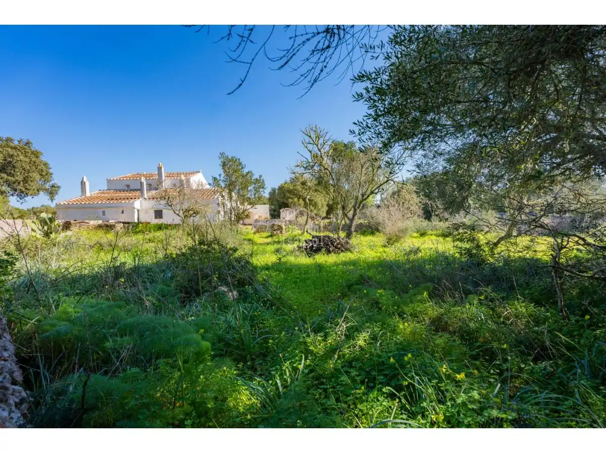 Maison rustique avec jardin à vendre à Sant Climent - Es Canutells, imagen 43