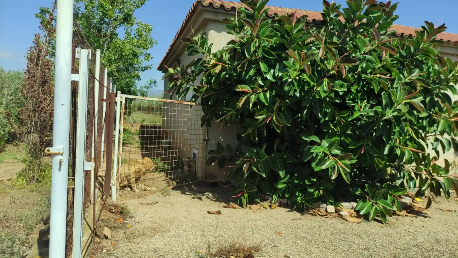 Finca rústica en venta en de les Hortes, Montbrió del Camp