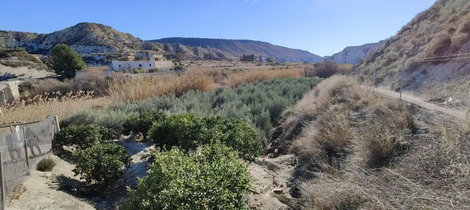 Lands and plots for sale in Mula, imagen 6