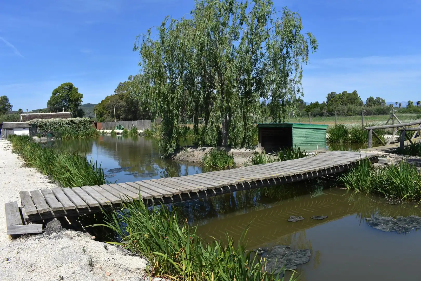 Finca rústica en venda a Eucaliptus - Poble Nou del Delta