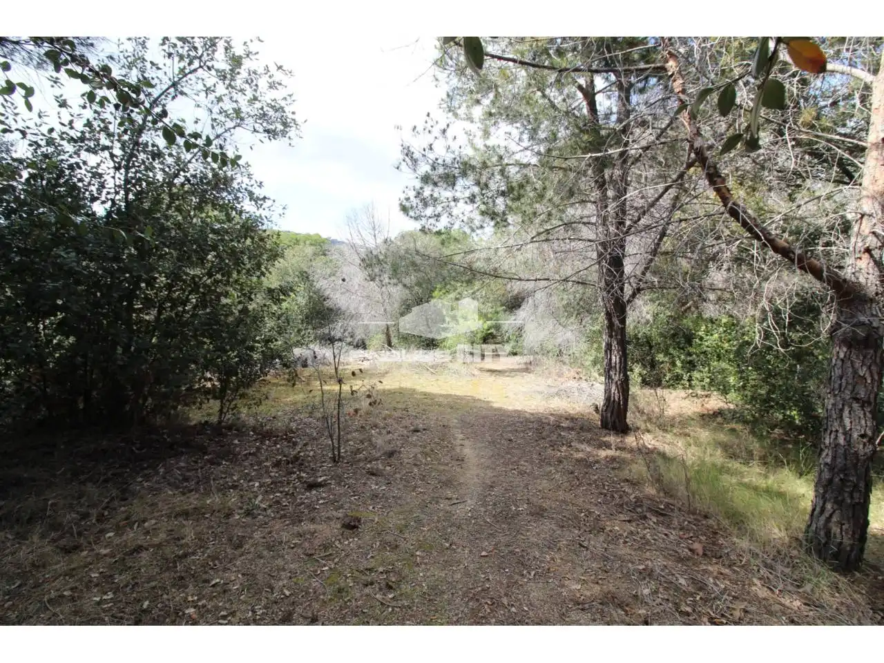 Residential land for sale in Avenida Àlbers, imagen 28